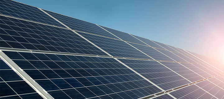 Reinigung einer bodennahen Photovoltaikanlage mit wasserführender Bürste